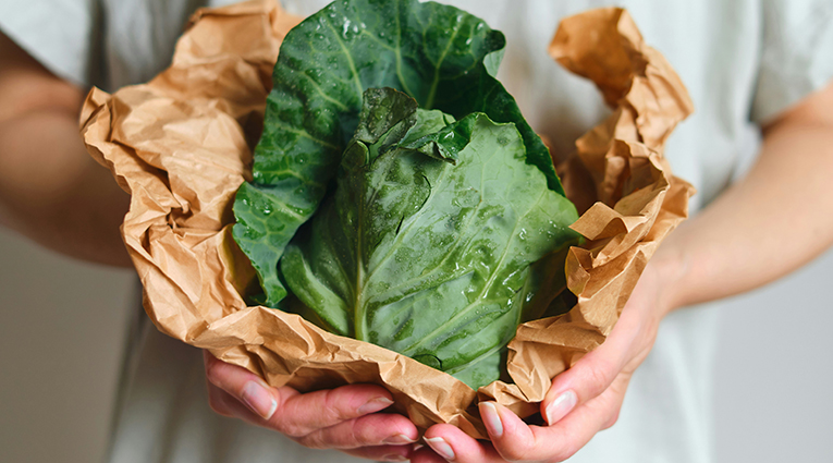 col lisa verde detox en un papel entre las manos